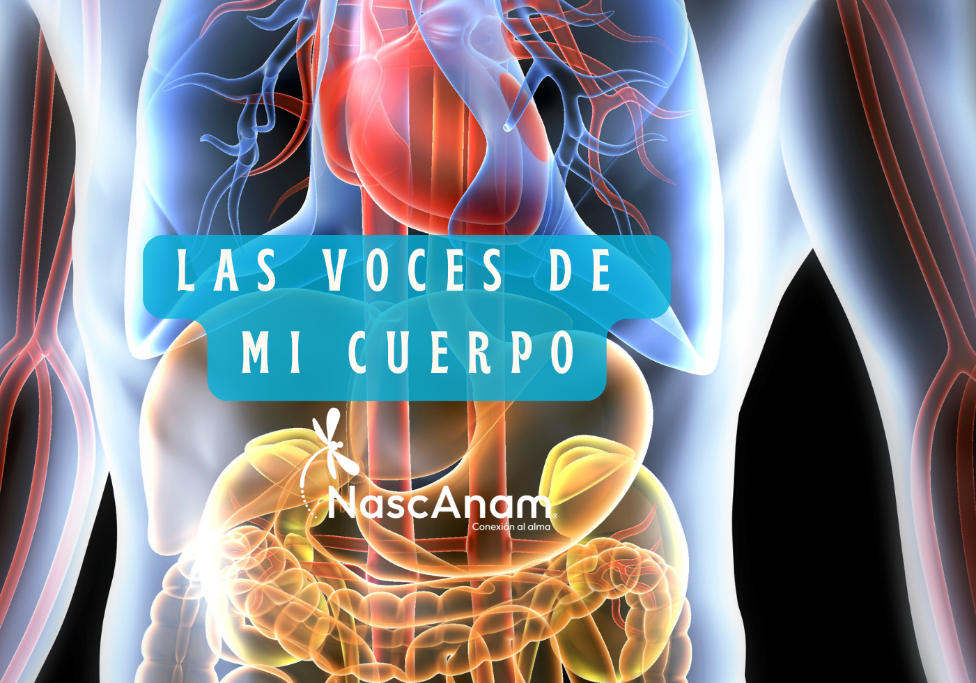 Tapa6-Fotos Web Cursos (1920 x 980 px) Tapa6-Fotos Web Cursos (1920 x 980 px)